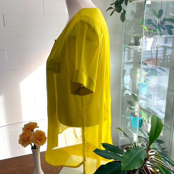 W118 by Walter Baker Small olive yellow - Picture 4 of 11